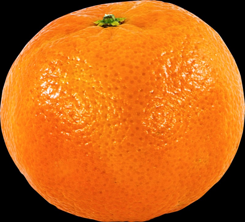 Orange Tree